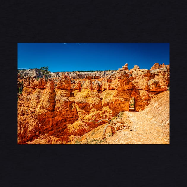 Bryce Canyon National Park by Gestalt Imagery